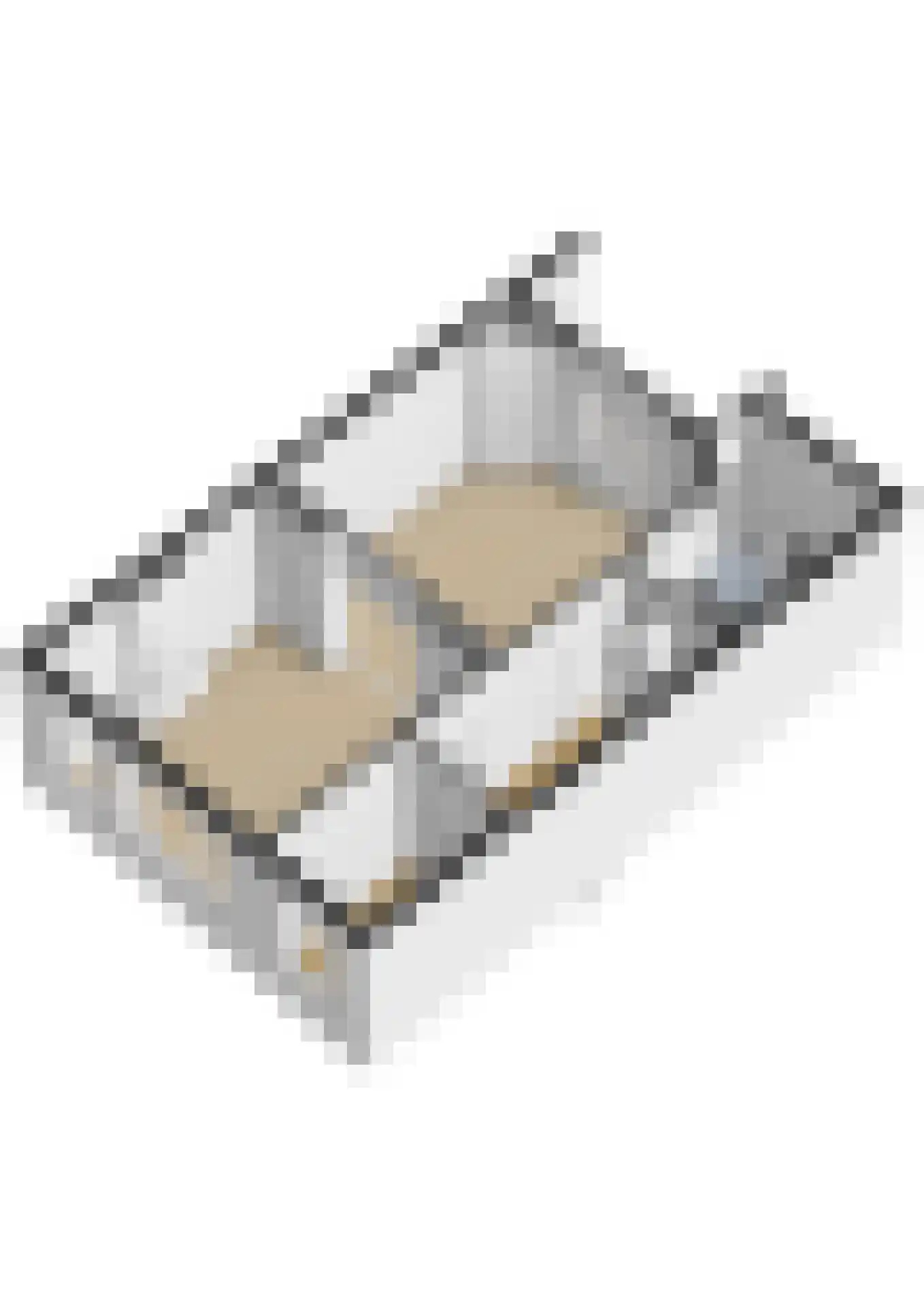 Adriaen van Ostadelaan 56 BS Utrecht thumbnail 60
