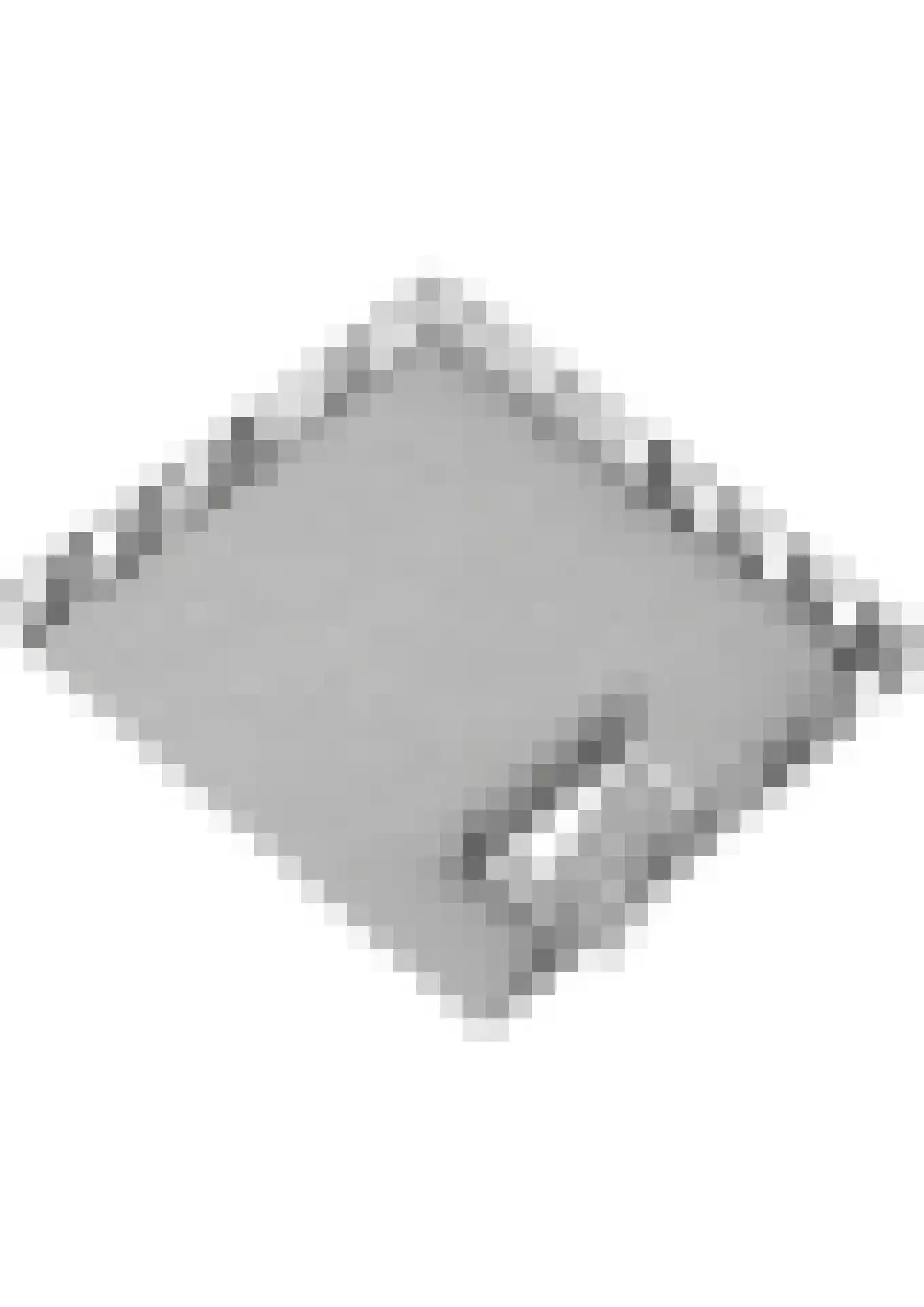 Adriaen van Ostadelaan 56 BS Utrecht thumbnail 64