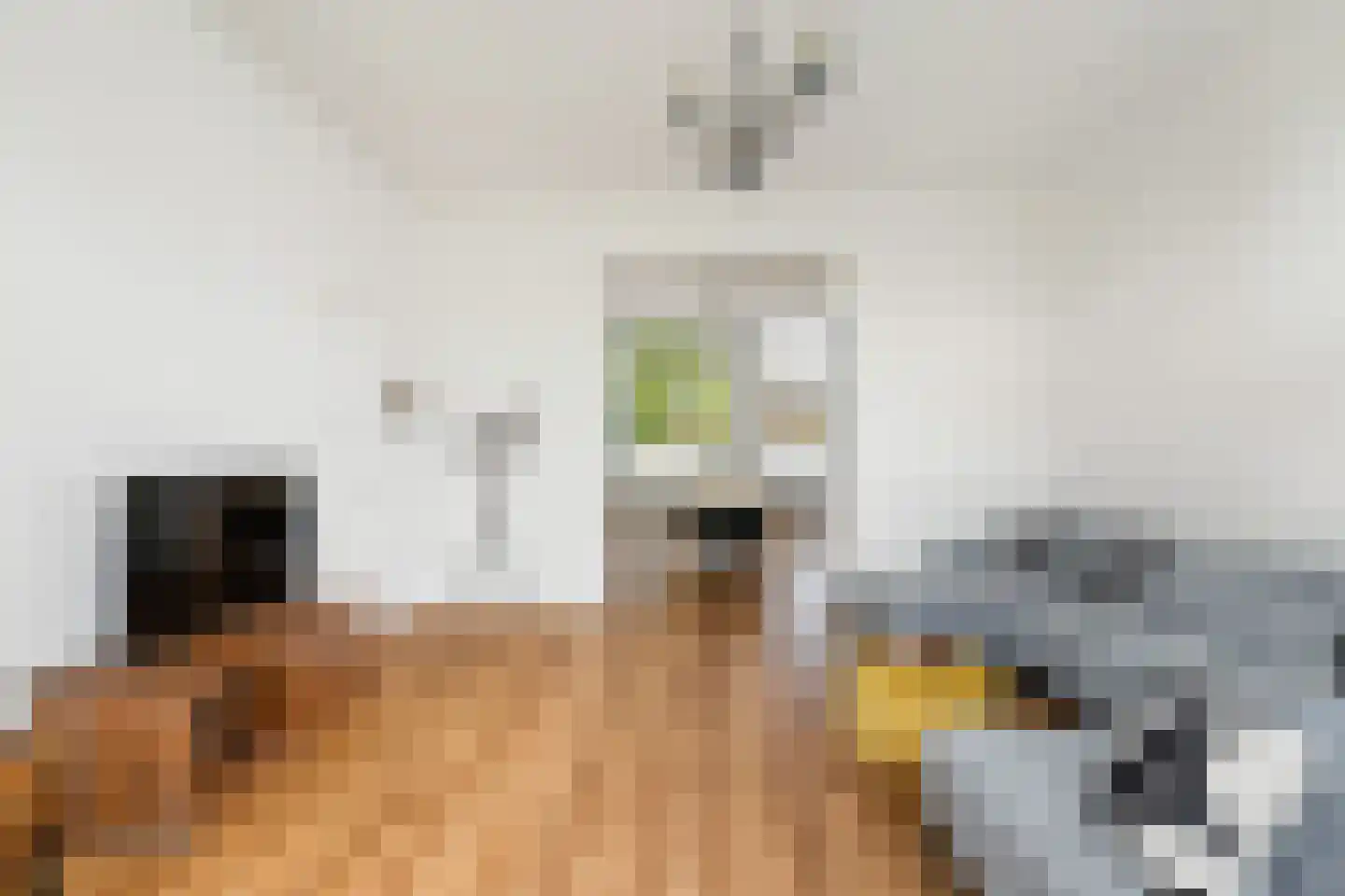 Adriaen van Ostadelaan 56 BS Utrecht thumbnail 9