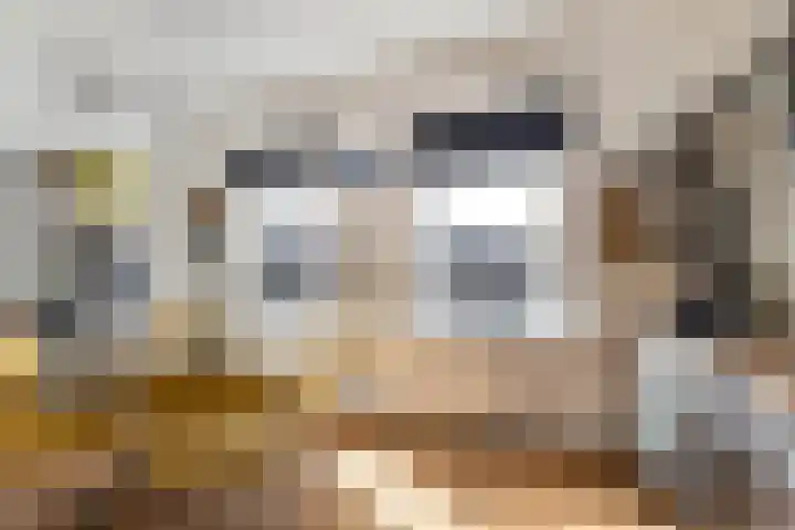 Adriaen van Ostadelaan 63 A Utrecht thumbnail 11