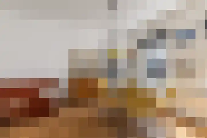 Adriaen van Ostadelaan 63 A Utrecht thumbnail 12