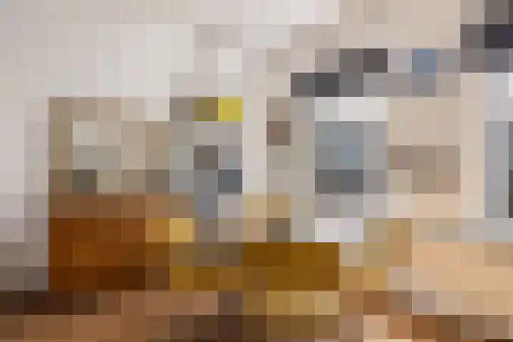 Adriaen van Ostadelaan 63 A Utrecht thumbnail 14