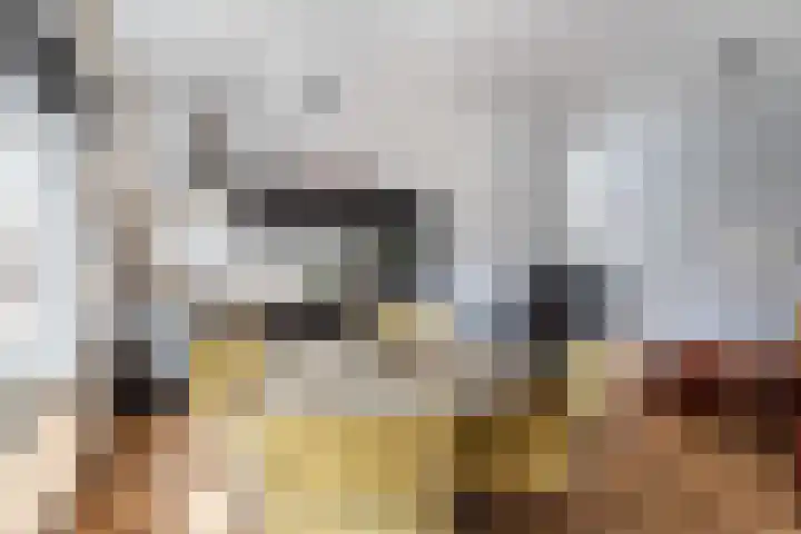 Adriaen van Ostadelaan 63 A Utrecht thumbnail 15