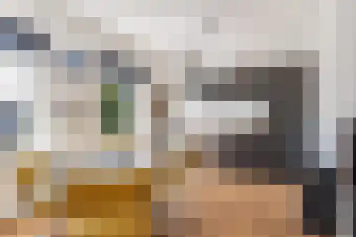 Adriaen van Ostadelaan 63 A Utrecht thumbnail 16