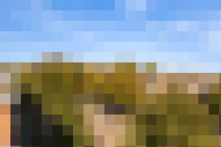 Adriaen van Ostadelaan 63 A Utrecht thumbnail 30