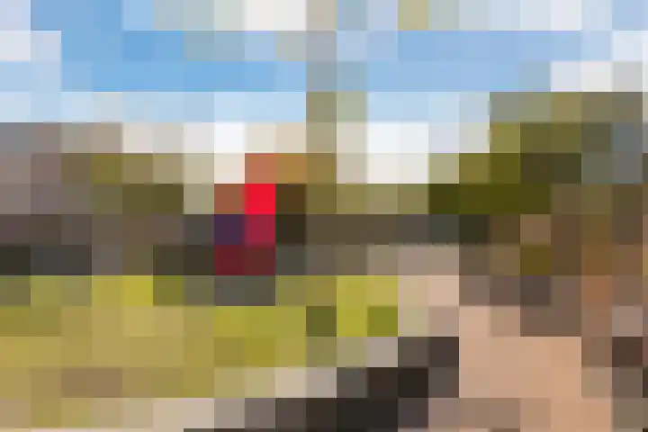 Adriaen van Ostadelaan 63 A Utrecht thumbnail 32