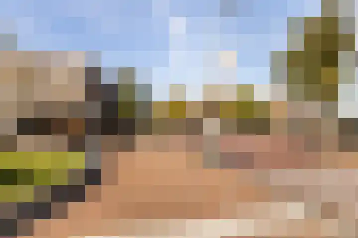 Adriaen van Ostadelaan 63 A Utrecht thumbnail 34