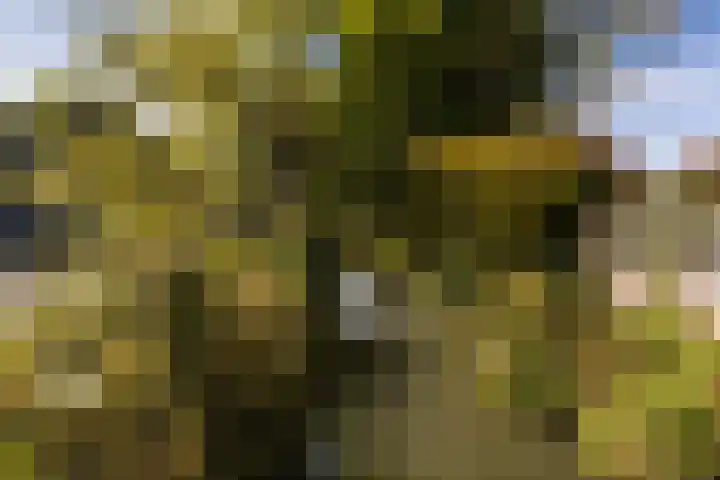 Adriaen van Ostadelaan 63 A Utrecht thumbnail 36