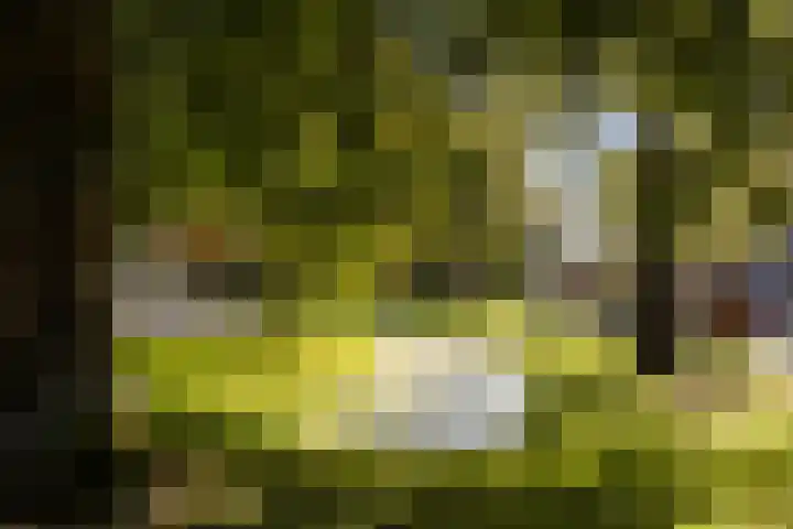 Adriaen van Ostadelaan 63 A Utrecht thumbnail 37