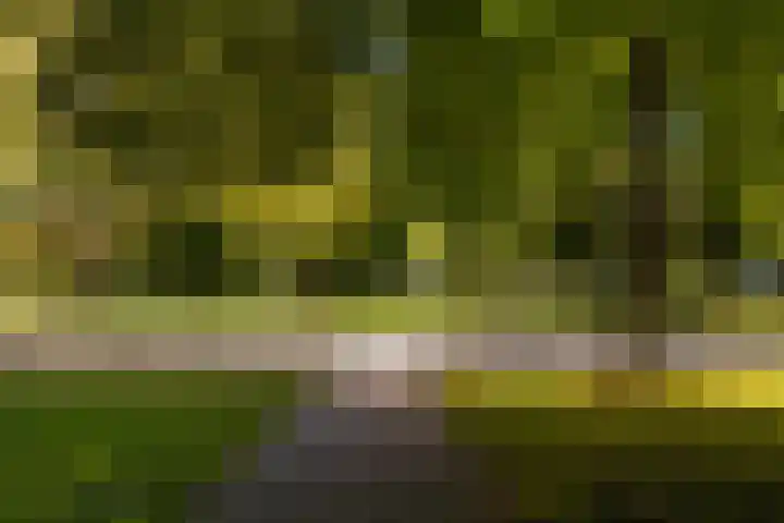 Adriaen van Ostadelaan 63 A Utrecht thumbnail 38
