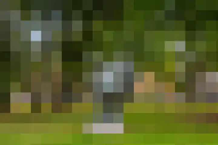 Adriaen van Ostadelaan 63 A Utrecht thumbnail 42
