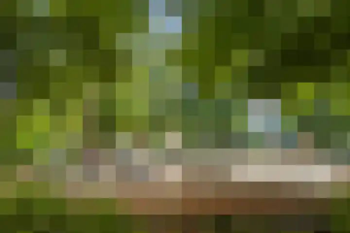 Adriaen van Ostadelaan 63 A Utrecht thumbnail 43