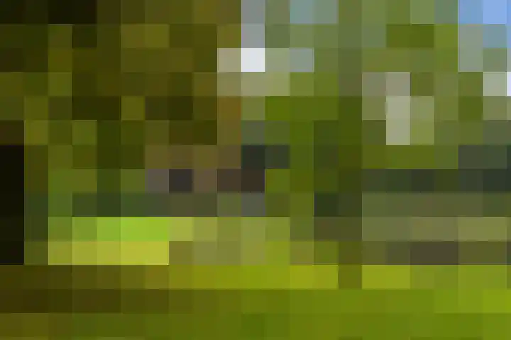 Adriaen van Ostadelaan 63 A Utrecht thumbnail 44