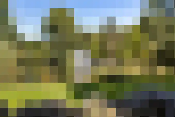 Adriaen van Ostadelaan 63 A Utrecht thumbnail 45