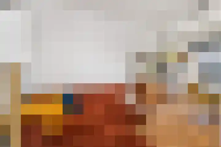 Adriaen van Ostadelaan 63 A Utrecht thumbnail 8