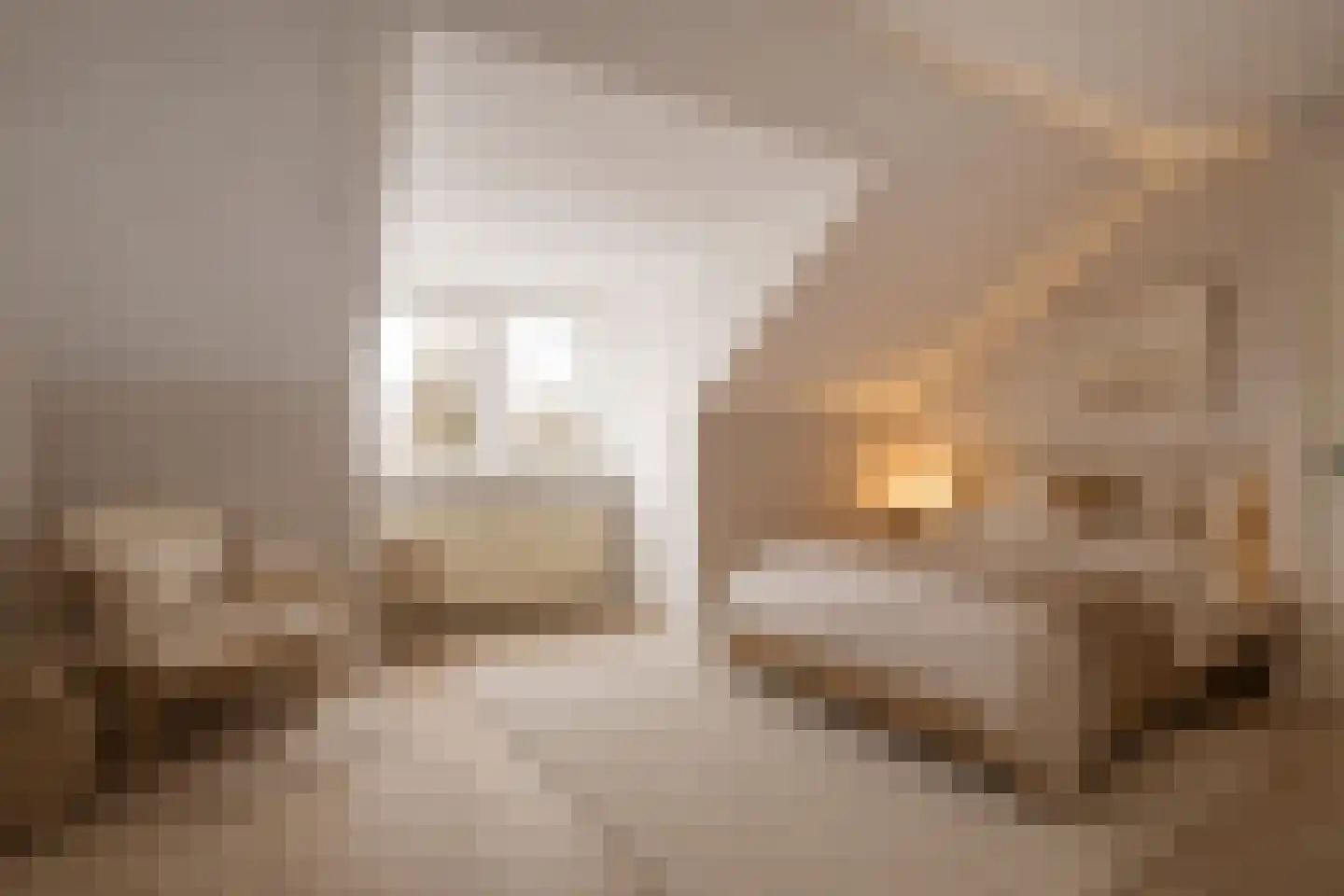 Adriaen van Ostadelaan 8 Amstelveen thumbnail 15