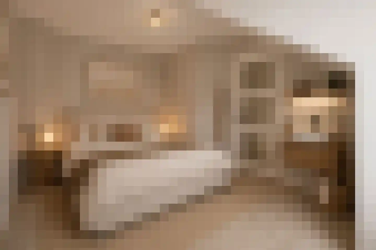 Adriaen van Ostadelaan 8 Amstelveen thumbnail 19