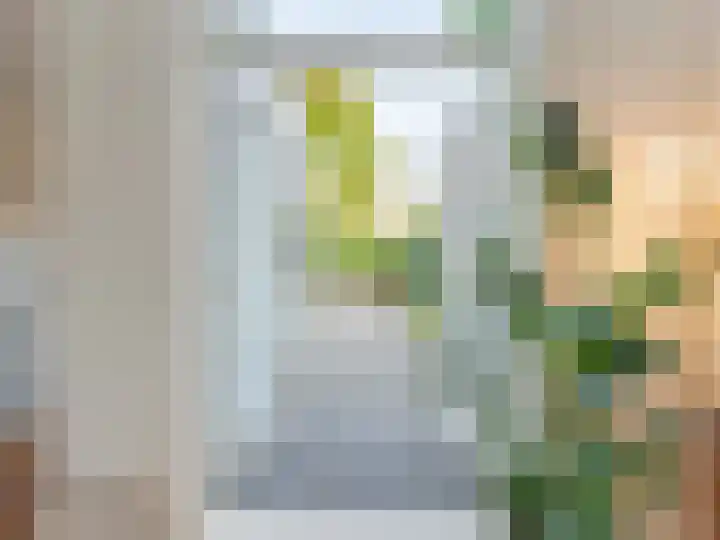 Adriaen van Ostadelaan 84 Utrecht thumbnail 10