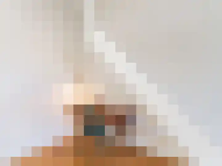 Adriaen van Ostadelaan 84 Utrecht thumbnail 11