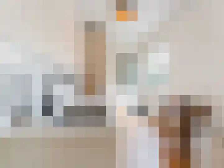 Adriaen van Ostadelaan 84 Utrecht thumbnail 14