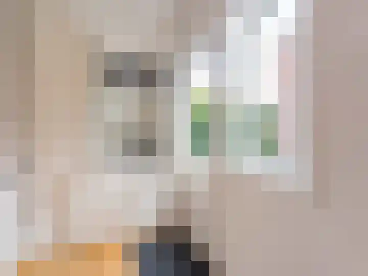 Adriaen van Ostadelaan 84 Utrecht thumbnail 16