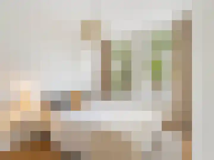 Adriaen van Ostadelaan 84 Utrecht thumbnail 19