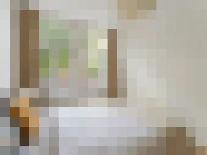 Adriaen van Ostadelaan 84 Utrecht thumbnail 20