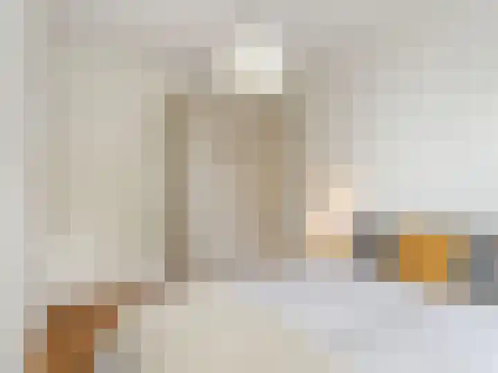 Adriaen van Ostadelaan 84 Utrecht thumbnail 21