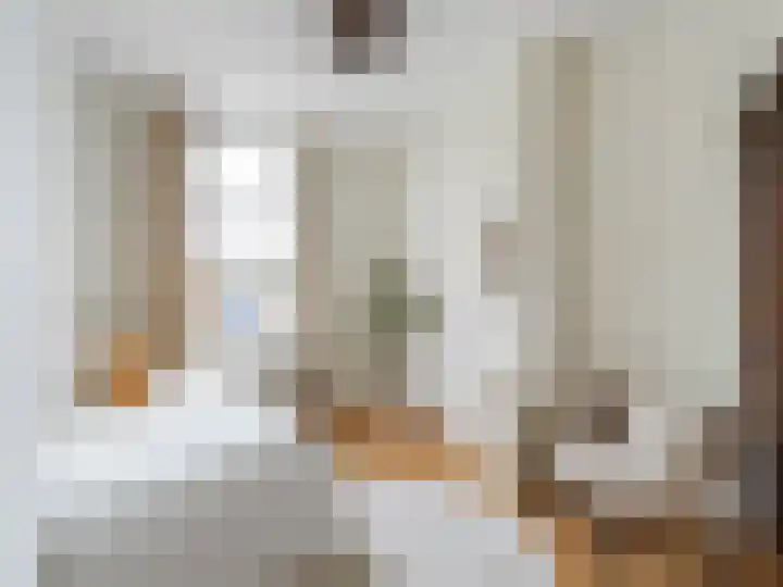 Adriaen van Ostadelaan 84 Utrecht thumbnail 22