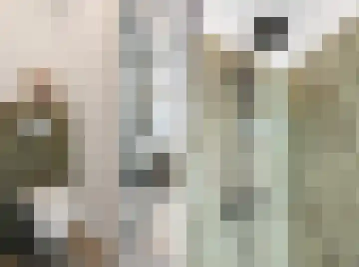 Adriaen van Ostadelaan 84 Utrecht thumbnail 25