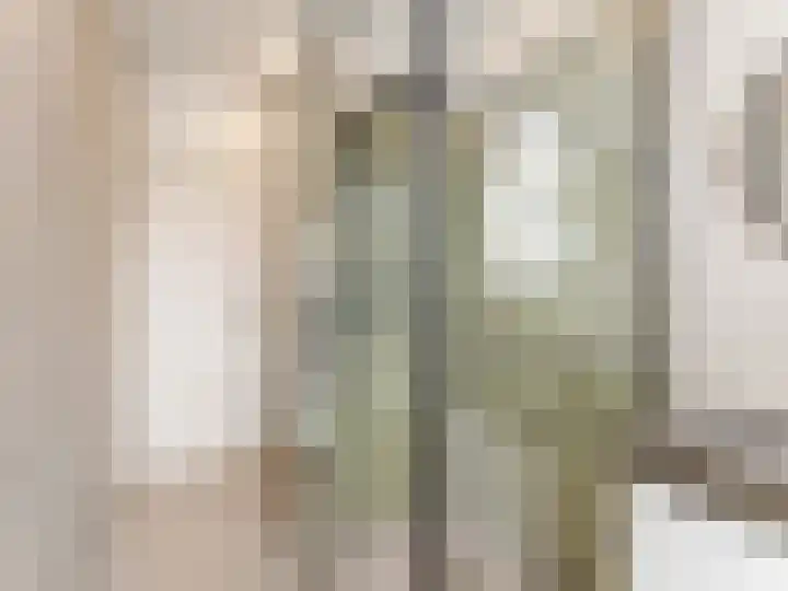 Adriaen van Ostadelaan 84 Utrecht thumbnail 26