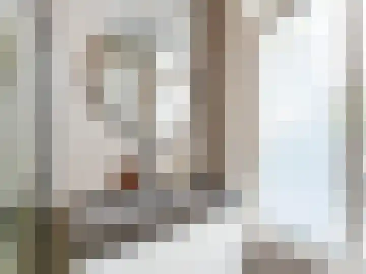 Adriaen van Ostadelaan 84 Utrecht thumbnail 27