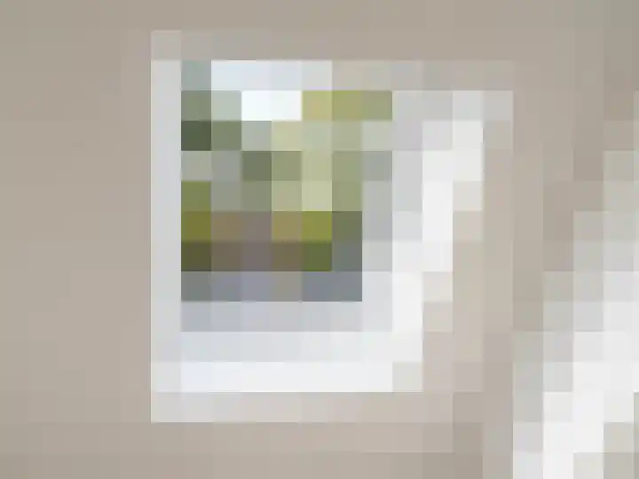 Adriaen van Ostadelaan 84 Utrecht thumbnail 29