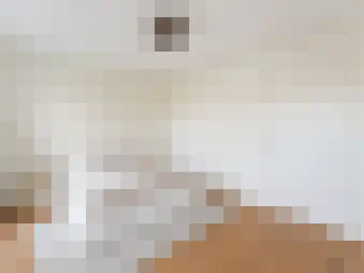 Adriaen van Ostadelaan 84 Utrecht thumbnail 35