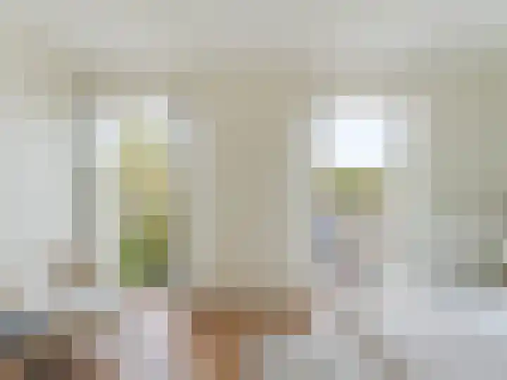 Adriaen van Ostadelaan 84 Utrecht thumbnail 36
