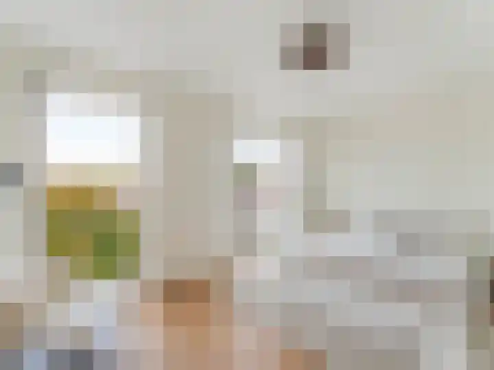 Adriaen van Ostadelaan 84 Utrecht thumbnail 37