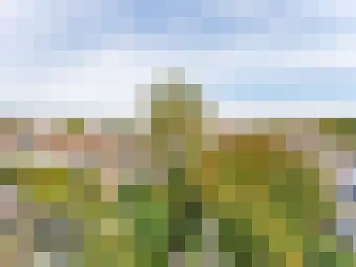 Adriaen van Ostadelaan 84 Utrecht thumbnail 38
