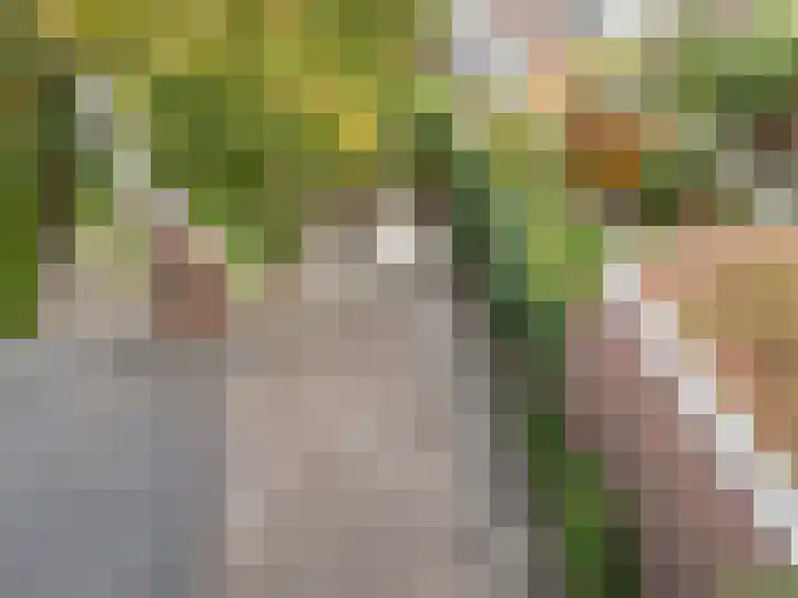 Adriaen van Ostadelaan 84 Utrecht thumbnail 39