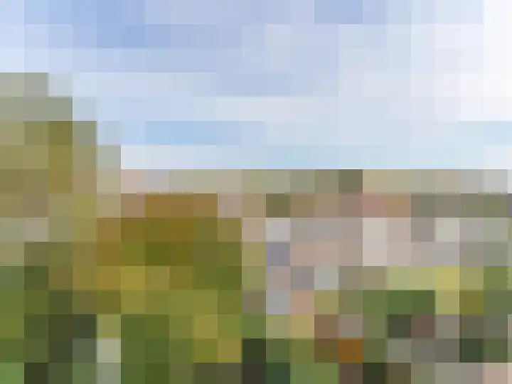 Adriaen van Ostadelaan 84 Utrecht thumbnail 40