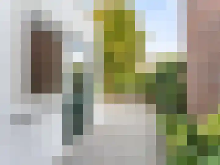 Adriaen van Ostadelaan 84 Utrecht thumbnail 41