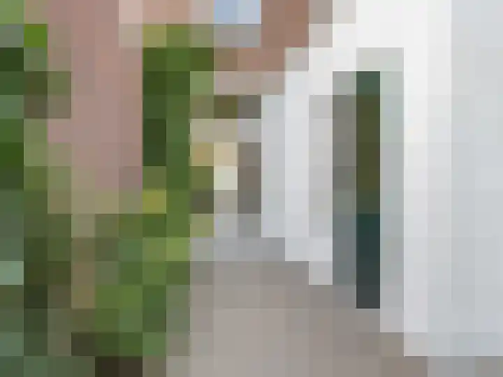 Adriaen van Ostadelaan 84 Utrecht thumbnail 44