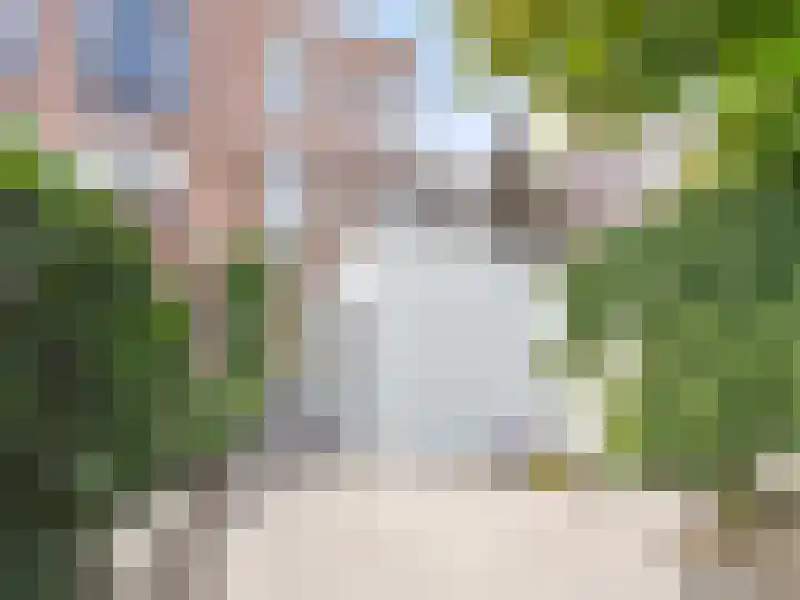 Adriaen van Ostadelaan 84 Utrecht thumbnail 45