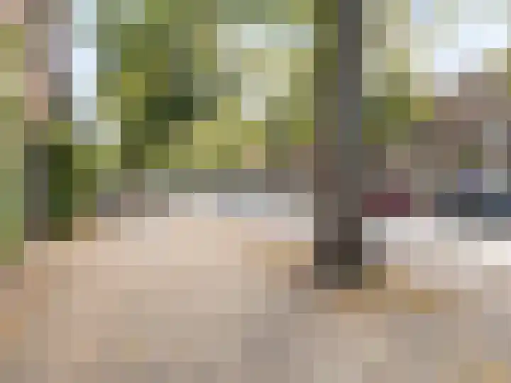 Adriaen van Ostadelaan 84 Utrecht thumbnail 49