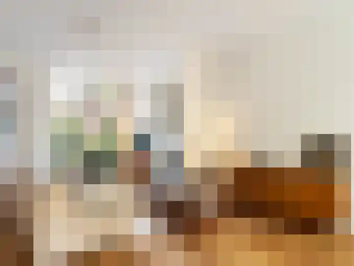 Adriaen van Ostadelaan 84 Utrecht thumbnail 5