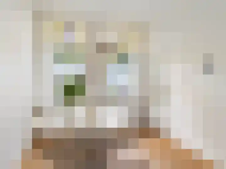 Adriaen van Ostadelaan 84 Utrecht thumbnail 6