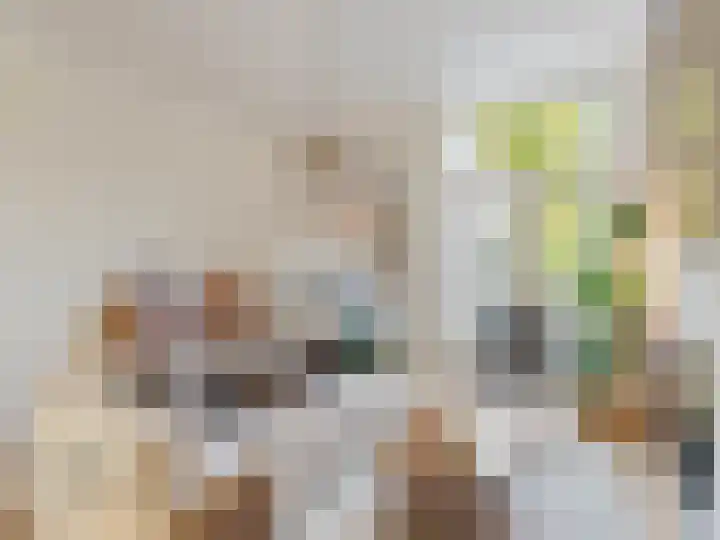 Adriaen van Ostadelaan 84 Utrecht thumbnail 7