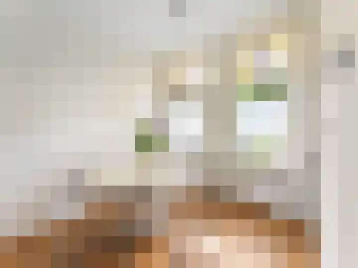 Adriaen van Ostadelaan 84 Utrecht thumbnail 8