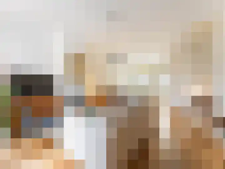 Adriaen van Ostadelaan 84 Utrecht thumbnail 9
