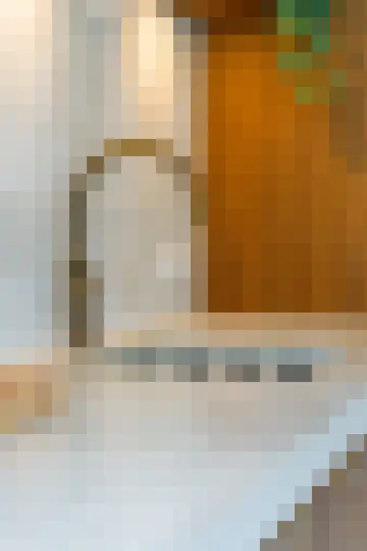 Adriaen van Ostadelaan 86 Utrecht thumbnail 10