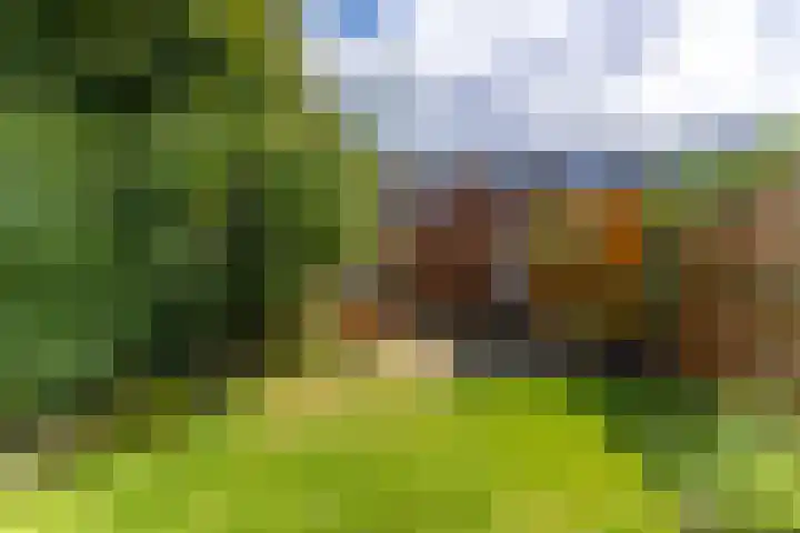 Adriaen van Ostadelaan 86 Utrecht thumbnail 15